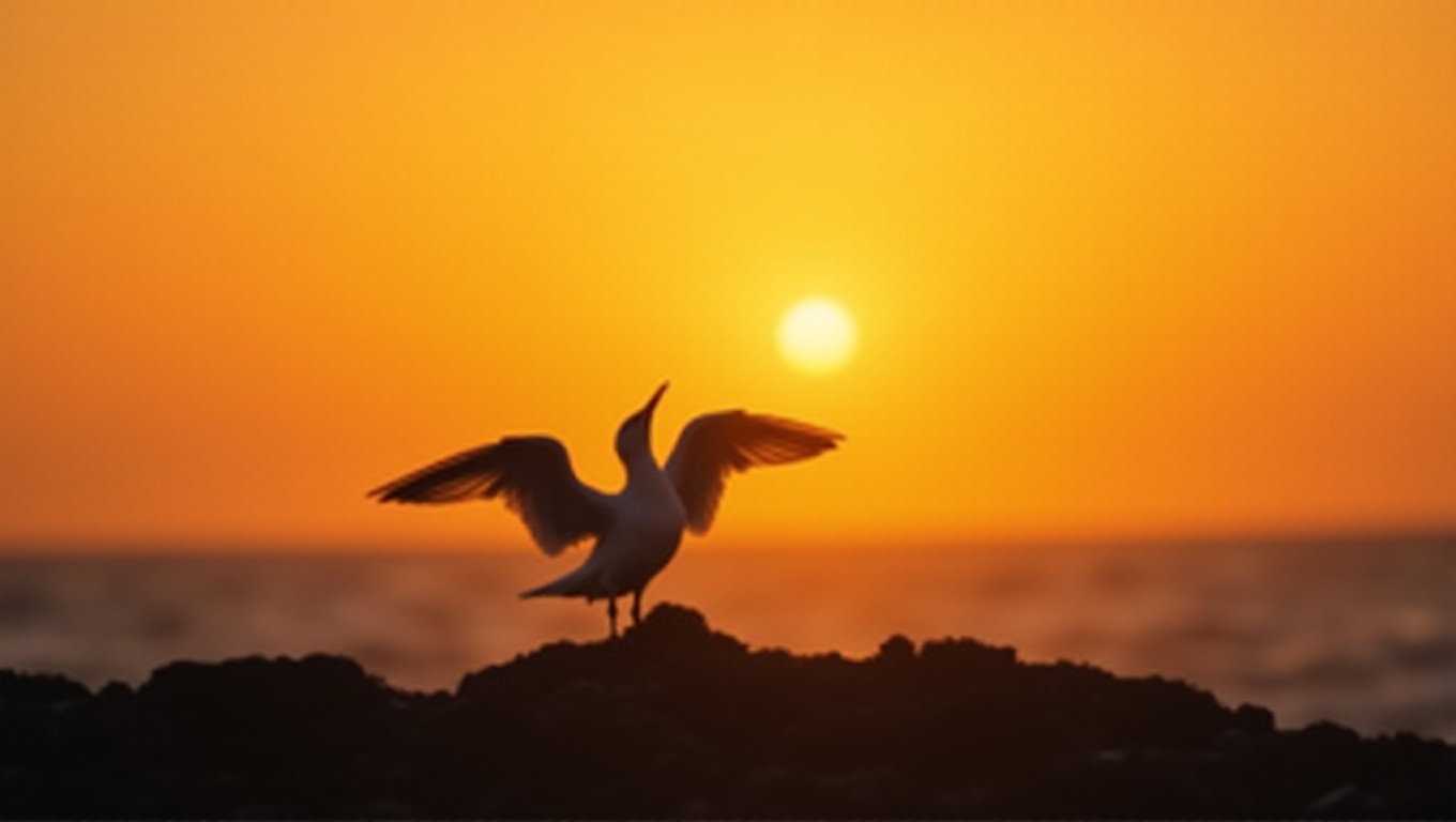 Illustration pour le mot 'mouette'